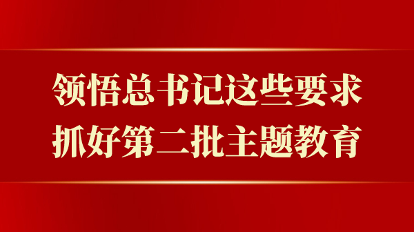 领悟总书记这些要求，抓好第二批主题教育